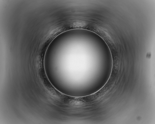 X0000099460743200805091528