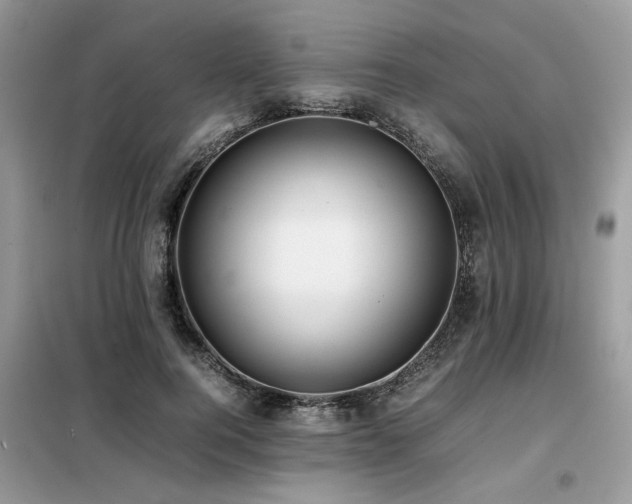X0000099460744200805091528