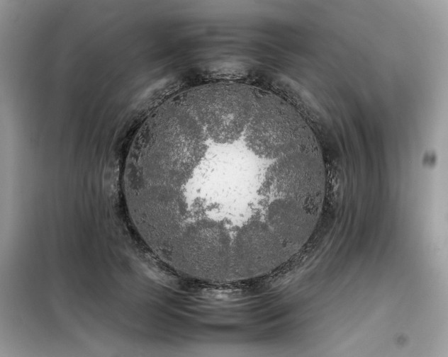 X0000099460745200805091528