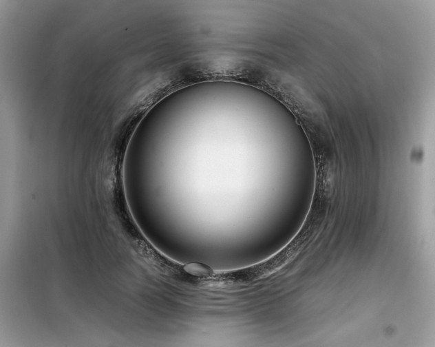 X0000099460746200805091528