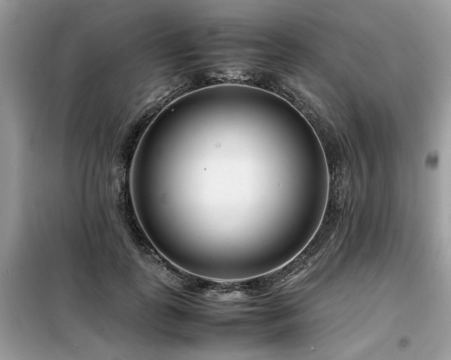 X0000099460747200805091528