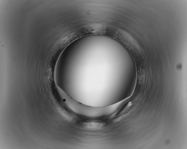 X0000099460748200805091528