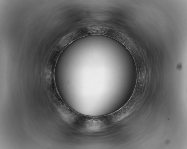 X0000099460749200805091528