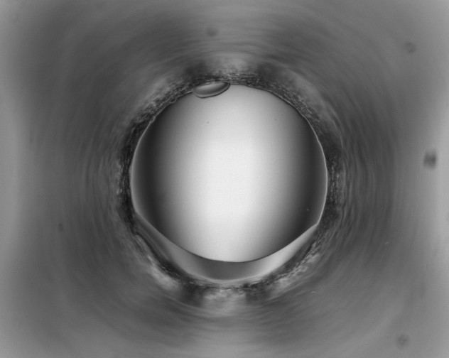 X0000099460750200805091528