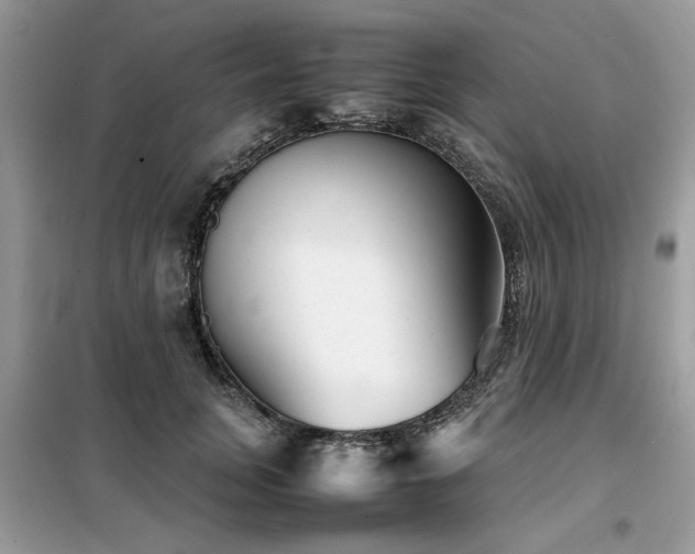 X0000099460751200805091528