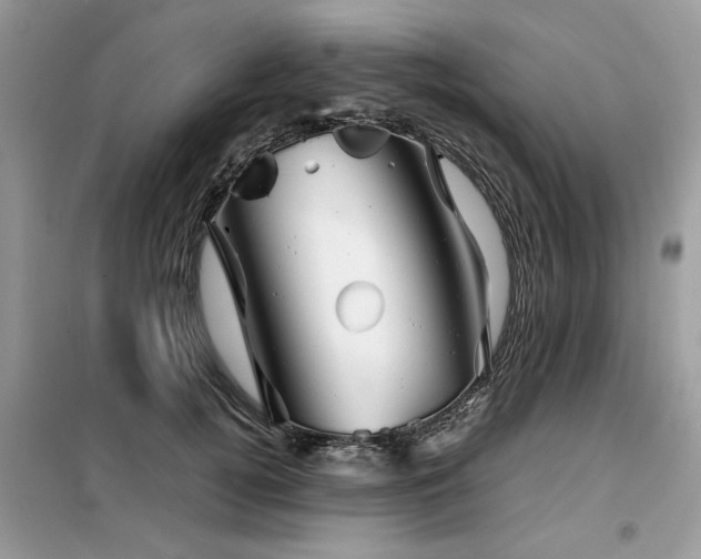 X0000099460752200805091528