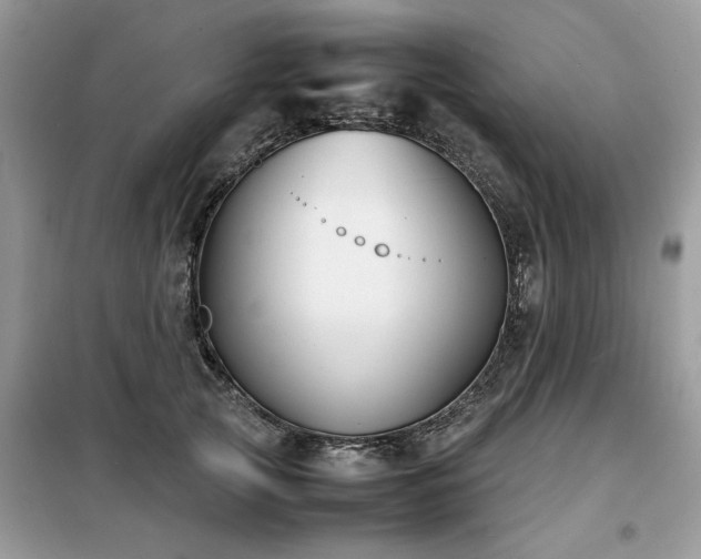 X0000099460753200805091528