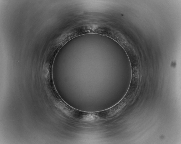 X0000099460754200805091528