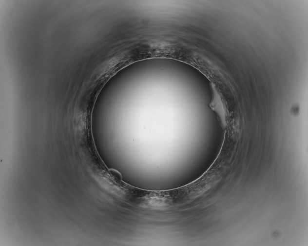 X0000099460756200805091528