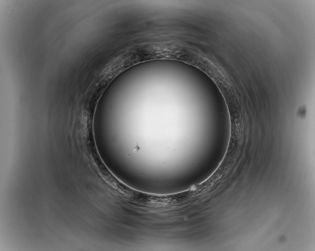 X0000099460757200805091528