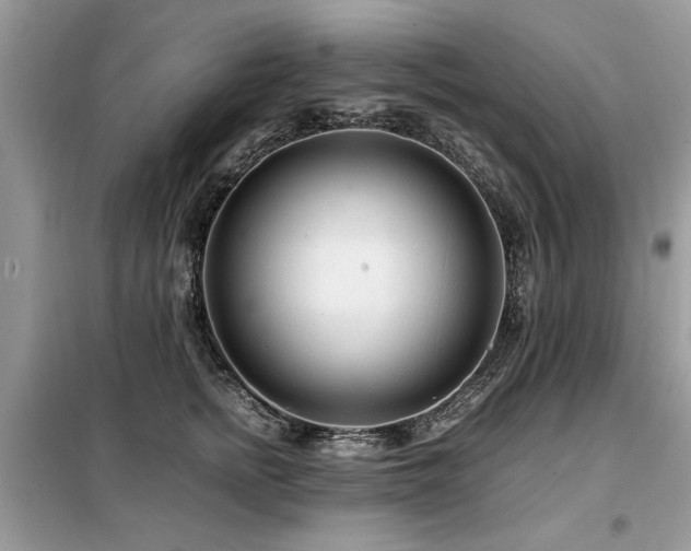 X0000099460758200805091528