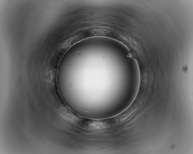X0000099460759200805091528