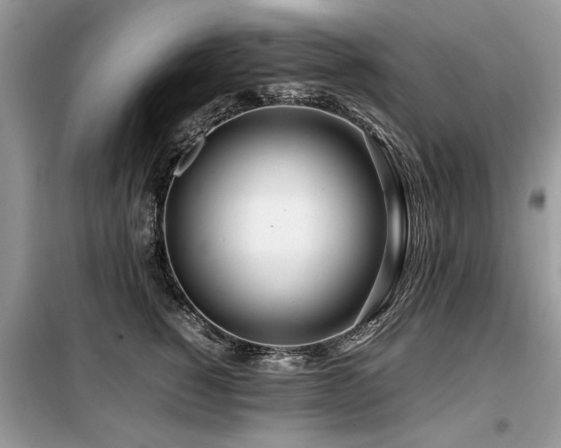 X0000099460760200805091528