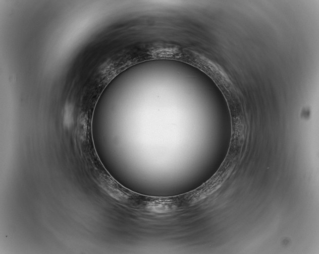 X0000099460761200805091528