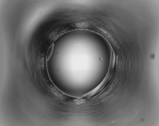 X0000099460762200805091528