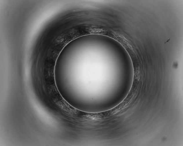 X0000099460763200805091528