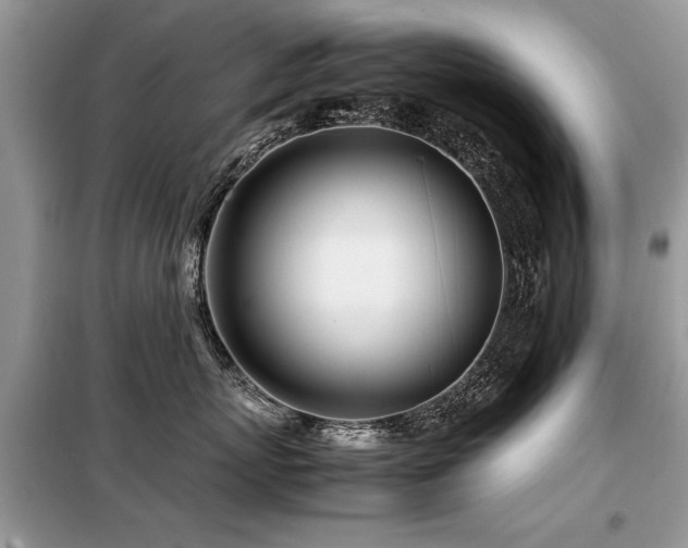 X0000099460767200805091528