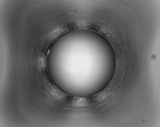 X0000099460768200805091528
