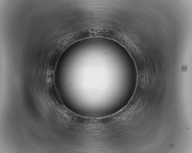 X0000099460770200805091528