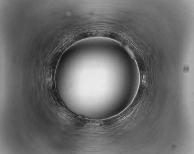 X0000099460771200805091528