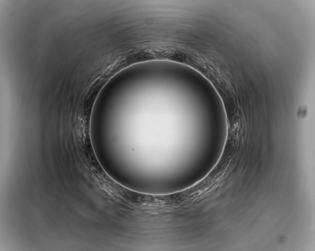 X0000099460772200805091528