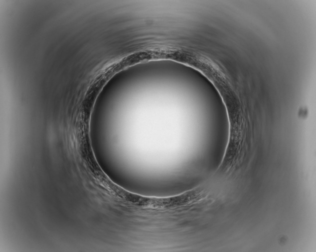 X0000099460773200805091528