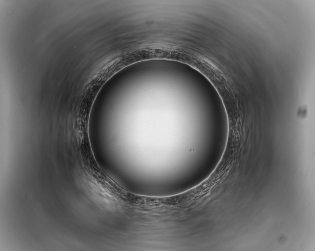 X0000099460774200805091528