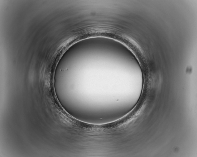X0000099460777200805091527