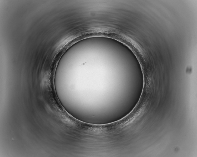 X0000099460778200805091527