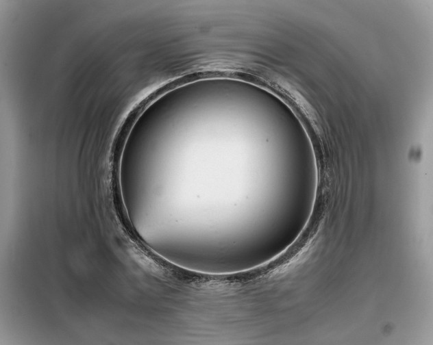 X0000099460779200805091527