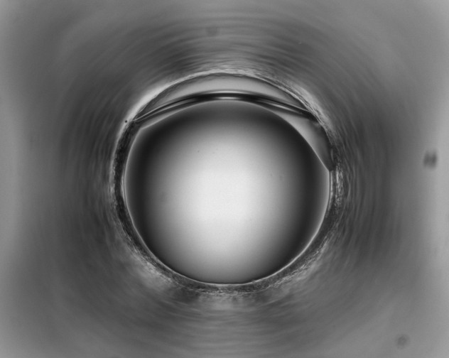 X0000099460780200805091527