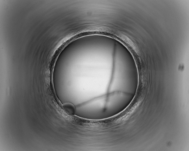 X0000099460781200805091527