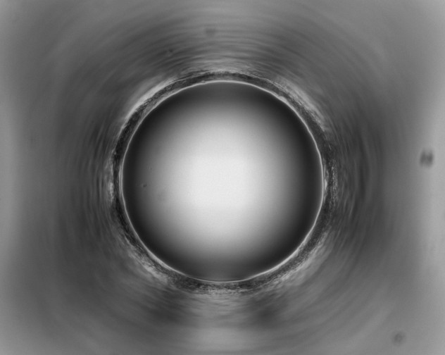 X0000099460782200805091527
