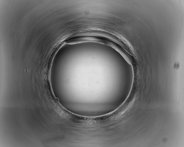 X0000099460785200805091527