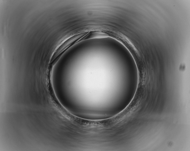 X0000099460786200805091527