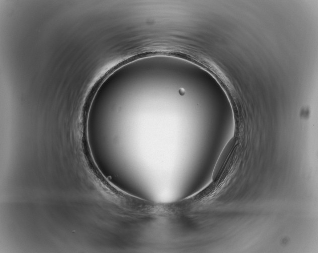 X0000099460787200805091527
