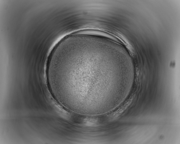 X0000099460788200805091527