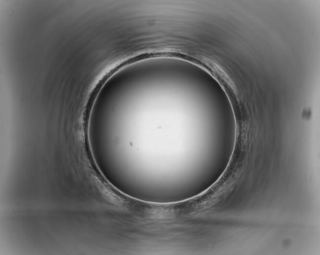 X0000099460789200805091527