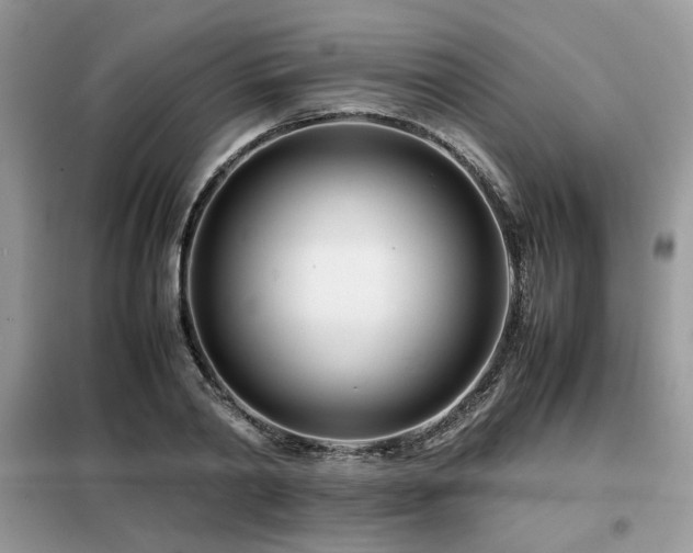 X0000099460790200805091527