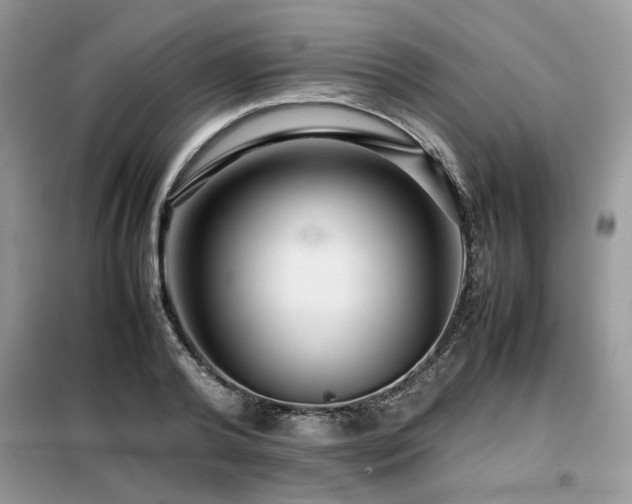 X0000099460792200805091527