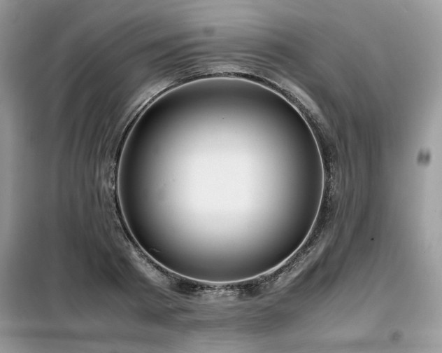 X0000099460793200805091527