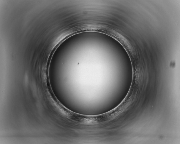 X0000099460794200805091527