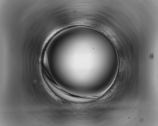 X0000099460796200805091527