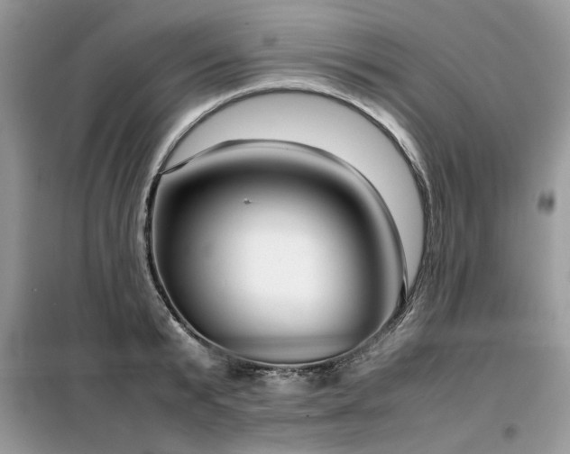 X0000099460799200805091527