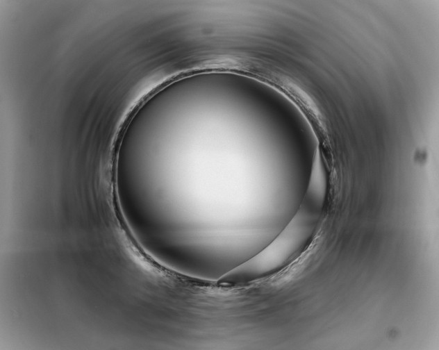 X0000099460800200805091527
