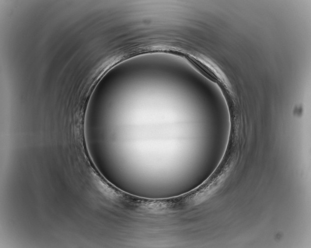 X0000099460801200805091527