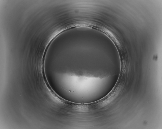 X0000099460802200805091527