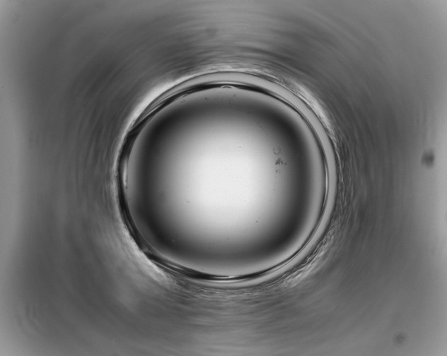 X0000099460803200805091527