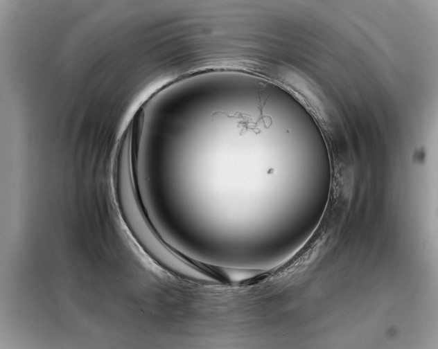 X0000099460804200805091527
