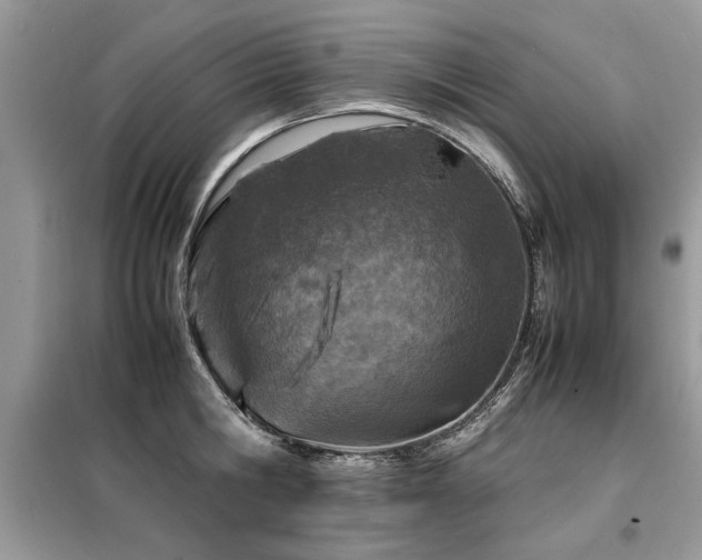 X0000099460806200805091527